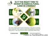 Looking for the Perfect Agricultural Land in Chennai for Investment?