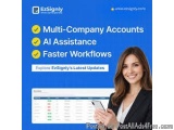 Manage All Your Businesses in One Click esignature