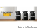 Whey (Concentrate) vs Whey Isolate vs Whey Hydrolysate – 2X Nutrition