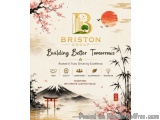 Top Luxury Real Estate Developer In India | Briston World
