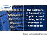 The image shows a close-up of a network cable rack with multiple blue cables. The cables are arranged in a neat and orderly m...