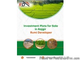 Investment Plots for Sale in Rajgir â€“ Rumi Developer