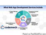The image is a circular diagram that represents the different web app development services offered by codemech. The diagram i...