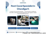 Root Canal Specialist In Chandigarh | Sector 15-c, Chandigarh