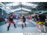 Join MMA Training in Noida for Safe and Professional Coaching