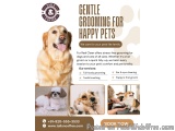 Tails & Coffee | Best Dog Grooming In Gurgaon Near Me