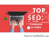 Professional SEO Agency in India for Local SEO, Ecommerce, and Online Growth