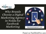 Why Brands Choose a Digital Marketing Agency in Noida for Facebo