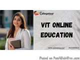 Vit Online Education