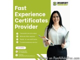Experience Certificates Provider In Ludhiana