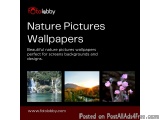 Nature Pictures Wallpapers