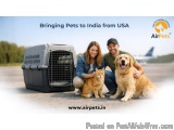 Taking Dogs And Cats To India From The Usa
