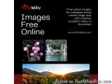 images free online