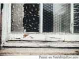 The image is a close-up of a window with a white frame. The window appears to be old and weathered, with peeling paint and ch...