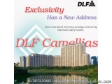 DLF Camellias Apartment for Sale