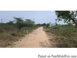 DTCP approved plots for sale at telecom avenue in Perumalpattu.