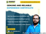 Best Professional Experience Certificate Services in Bangalore