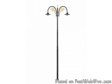 The image is of a street lamp post. It is a tall, black pole with a curved top and two round, ornate arms on either side. The...