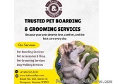 Tails & Coffee | dog grooming in gurgon