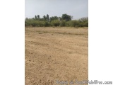 The image shows a vast, barren landscape with a clear blue sky in the background. The ground is covered in dry, brown soil an...