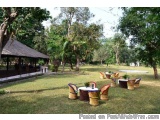 The image shows a beautiful outdoor setting with a thatched roof gazebo on the left side. The gable is surrounded by lush gre...