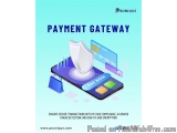 Payment gateway Provider