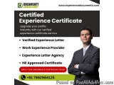 Top-Notch Work Experience Letter Provider