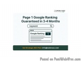 Page 1 Google Ranking Guaranteed in 3-4 Months | WebnSEO