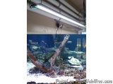 Industrial Led Lighting Retrofitting In Riverside