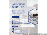 Professional Auditing Services For Business Compliance