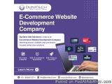 Professional E-commerce Solutions For Online Stores – Dunitech So...