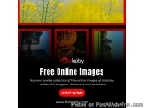 Free Picture Download