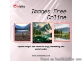 Images Free Online