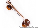 Indian Musical Instruments Shop Delhi