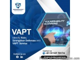 Comprehensive Vapt Solutions For Businesses | Hedge Mount