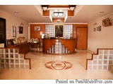 Best Living Room Rugs And Carpets Online – Saraswati Global