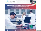 Enhance Your Analytical Skills With Gc Training By Fare Labs Pvt...