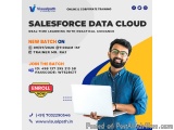 Salesforce Data Cloud Online Training – New Batch Starts
