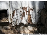 The image shows a close-up of a wall with peeling paint. The paint is chipped and peeling off in some areas, revealing the wo...