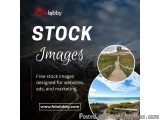 Stock Images