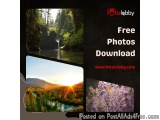 Free Photos Download