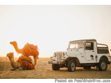 Camel Safari Adventure at TDunes Desert Camp Jaisalmer