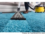 Top-Rated Carpet Cleaning Services in Ghansoli Navi Mumbai â€“ Pet & Kid Friendly