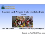 Kaalsarp Dosh Nivaran Vidhi Trimbakeshwar Temple