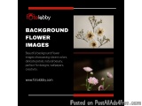 Background Flower Images