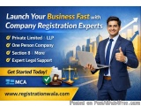 Launch Your Business Fast with Company Registration Experts