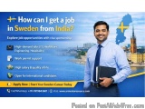 How Can An Indian Citizen Apply For A Job In Sweden?