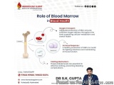 How Cancer Affects the Bodyâ€™s Immune System?