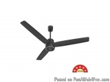 Havells Epic Signia Bldc Ceiling Fan With Smart Control