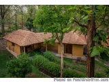 The image shows a small, two-story house with a thatched roof nestled in a lush green forest. The house is painted in a light...